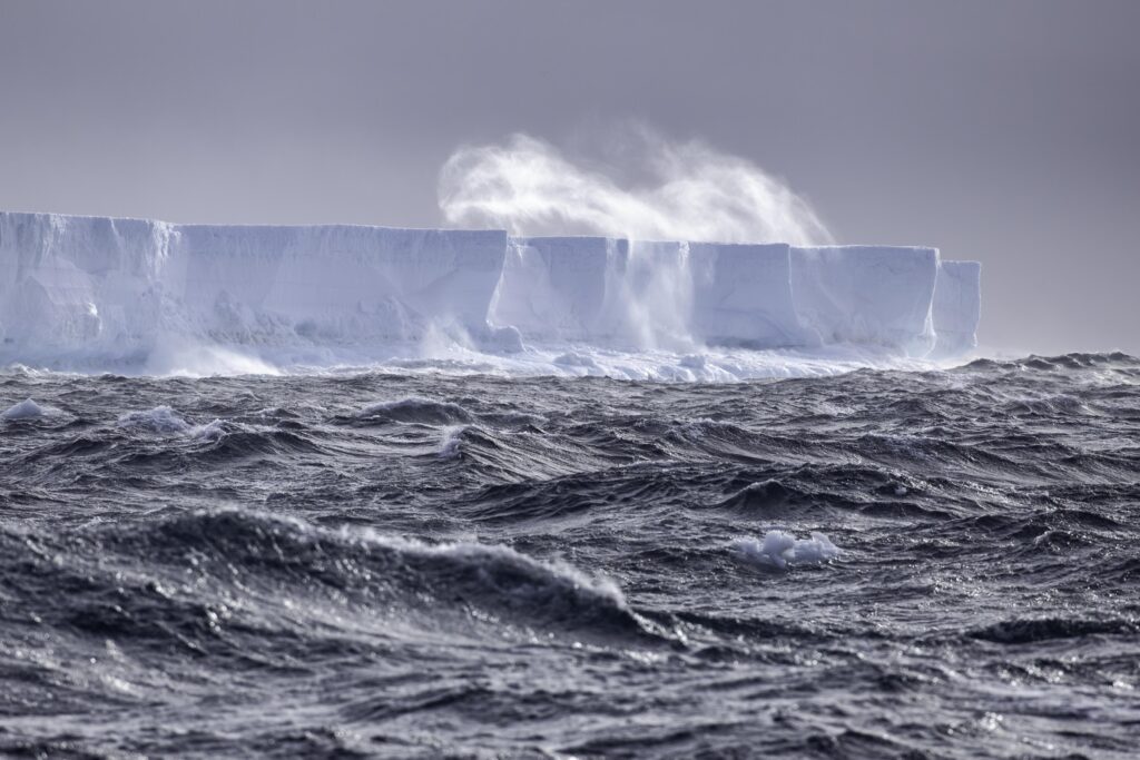 20250322 Iceberg Spray (PH) IMG_7924-Enhanced-NR