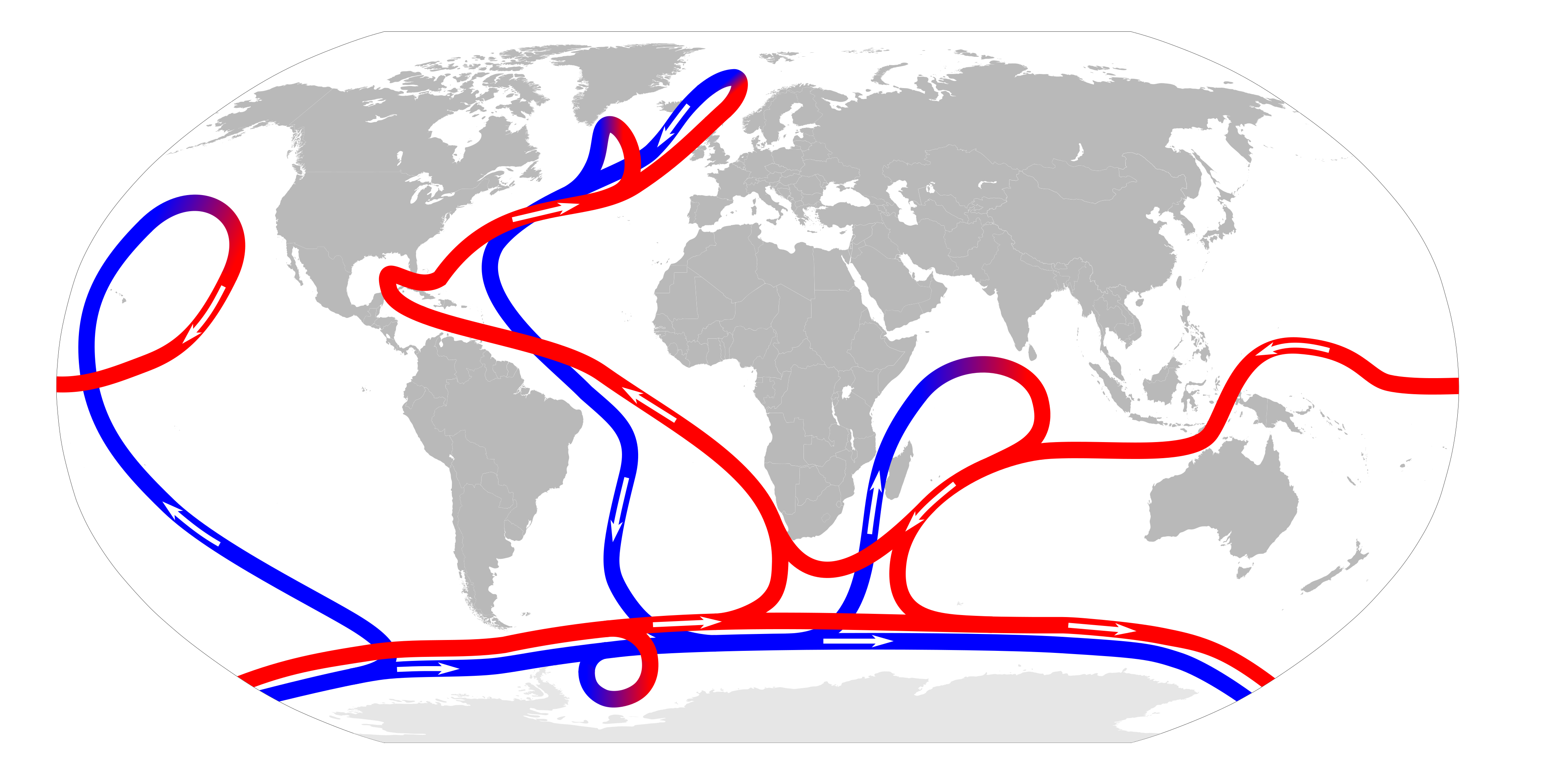 Figure 2: Schematic of the Meridional Overturning Circulation (MOC). The blue represents cold, deeper waters and the red warmer, surface waters. Source: https://commons.wikimedia.org/w/index.php?curid=8165094