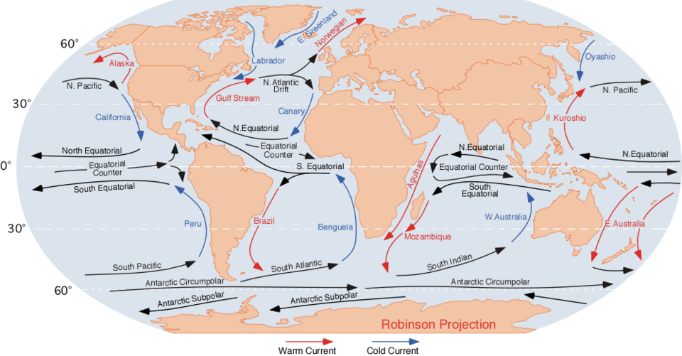 Figure 1: Diagram of the major ocean basins and their gyres. Figure from: https://oceaninfo.com/list/ocean-currents/)
