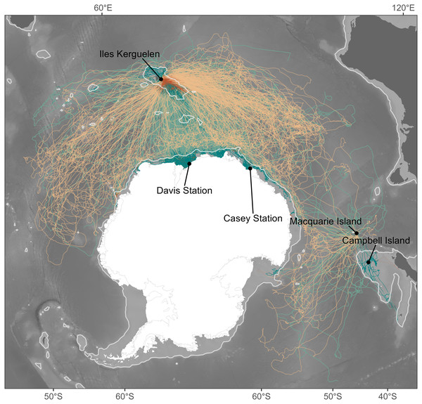 Individual seal tracks (females: n = 265; males: n = 344) coloured by sex, where green denotes males and orange denotes females. DOI: 10.7717/peerj.20378/fig-1