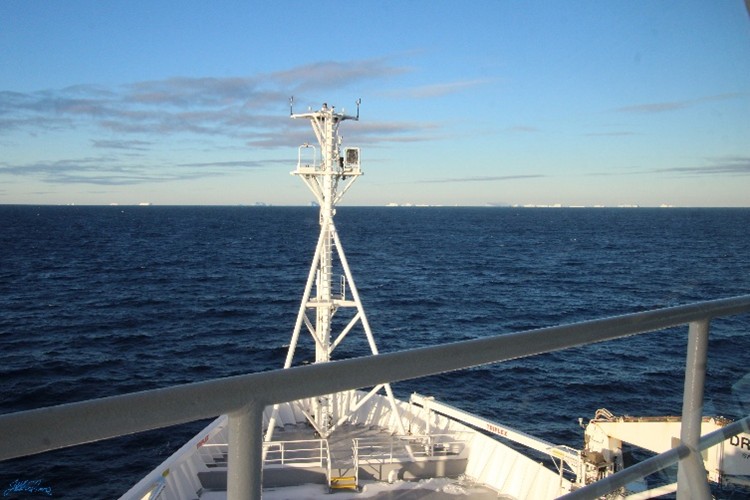 Iceberg ‘heaven’. Image credit: J. Lalime.