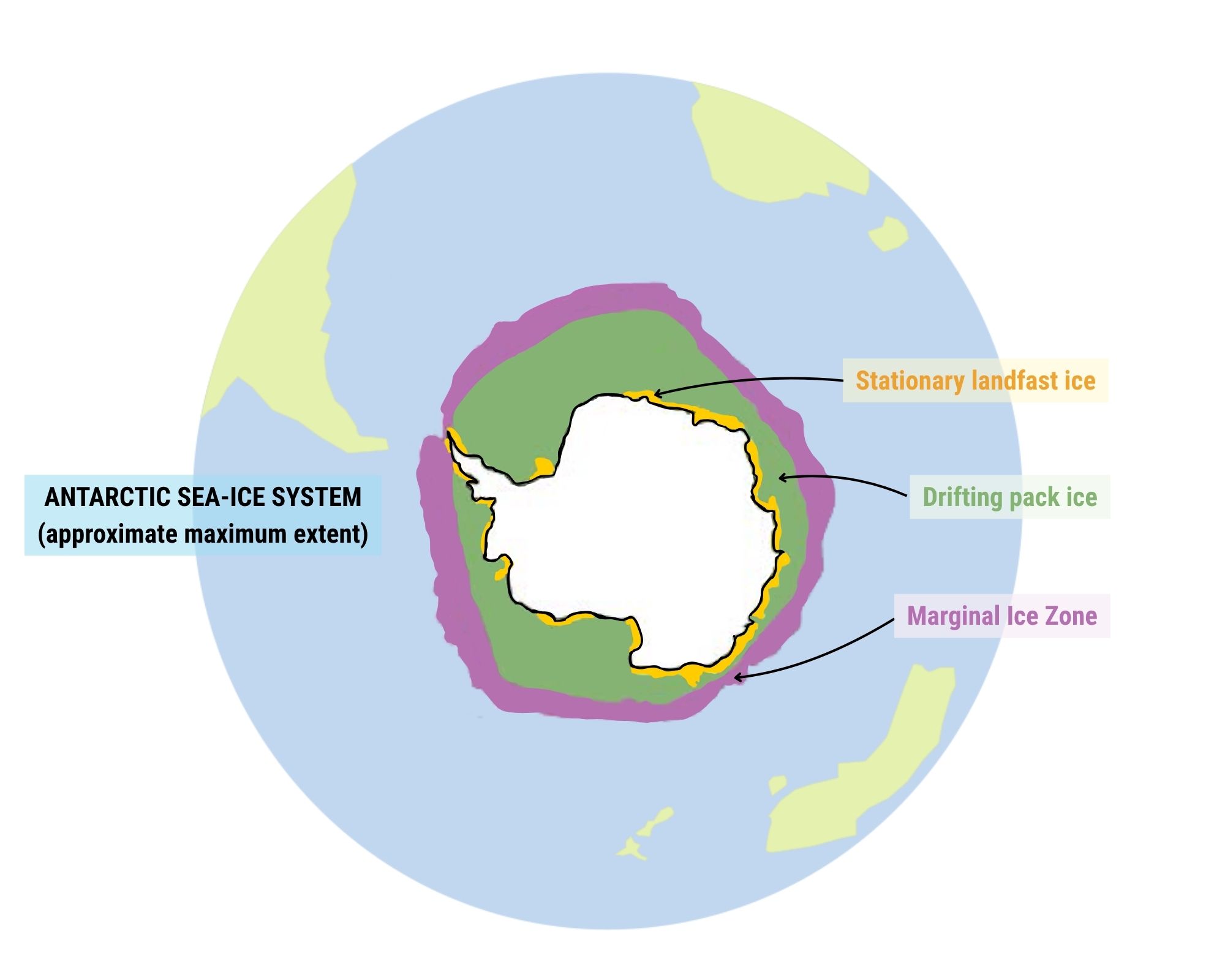 Approximate climatological geographical distribution of the Marginal Ice Zone (MIZ), drifting pack ice and stationary landfast ice in the Antarctic, around the time of maximum sea-ice extent (September for the Antarctic). The Antarctic MIZ is the largest in the world ocean. Antarctic sea ice has large year-to-year changes, and the MIZ represents its most variable component. (figure: Mark Horstman/AAPP, after Wongpan et al.)