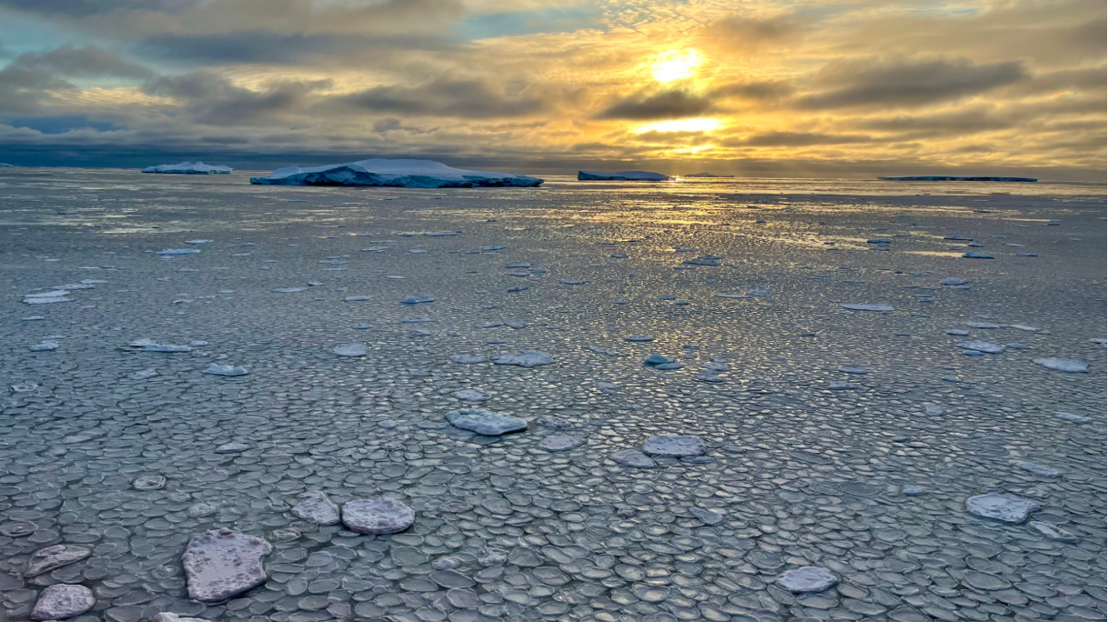 Sea ice extent has decreased dramatically since 2017. Credit: Kaihe Yamazaki