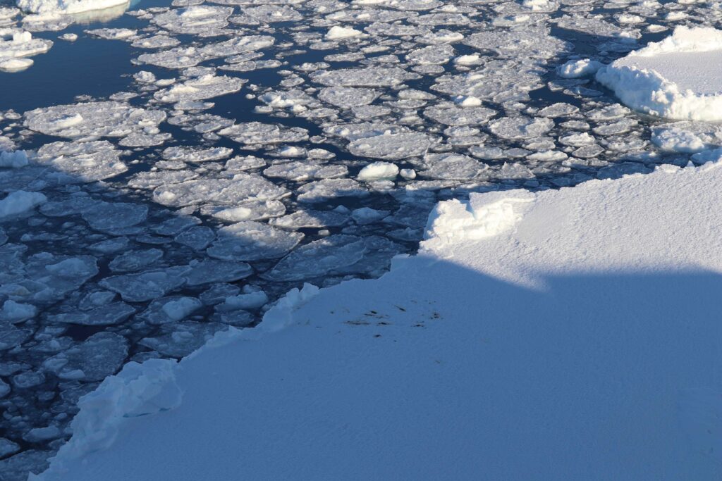 First year sea ice floe. Credit: Claire Yung