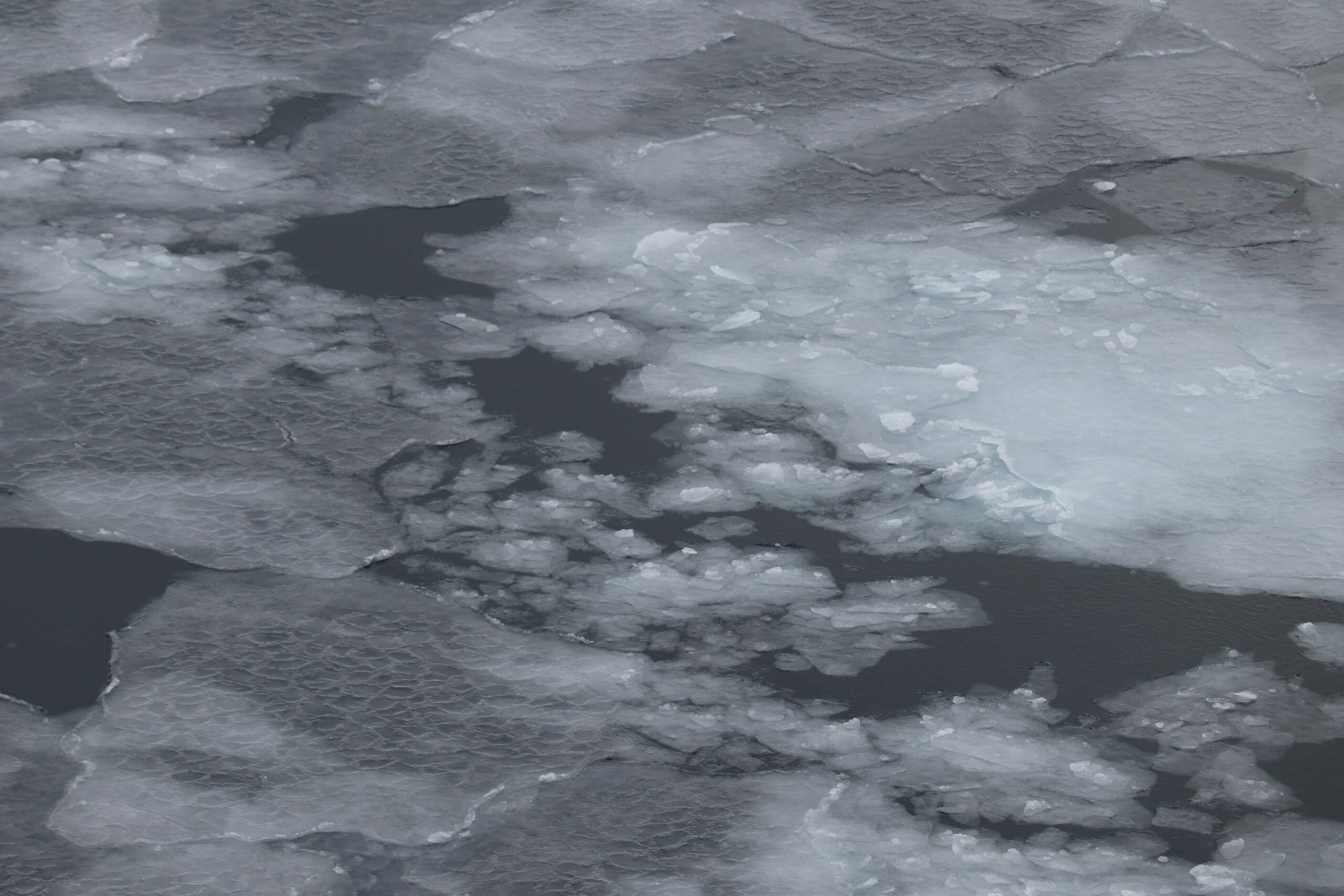 Small, young, grey pancake ice. Credit: Claire Yung