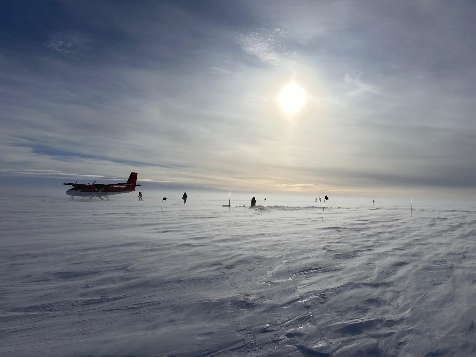 The team collecting samples in the field. Credit: Coti Manassero