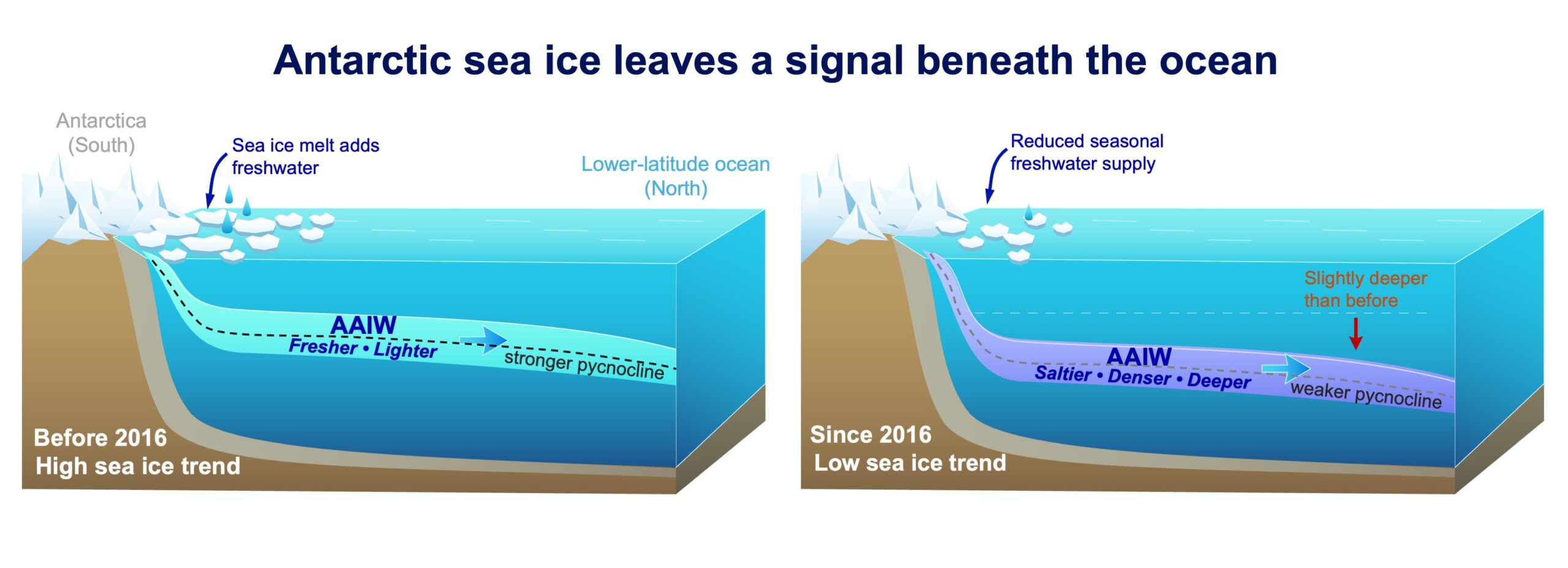 Since 2016, Antarctic intermediate water has been becoming saltier, denser, and deeper. Credit: Kaushik Mishra, CC BY