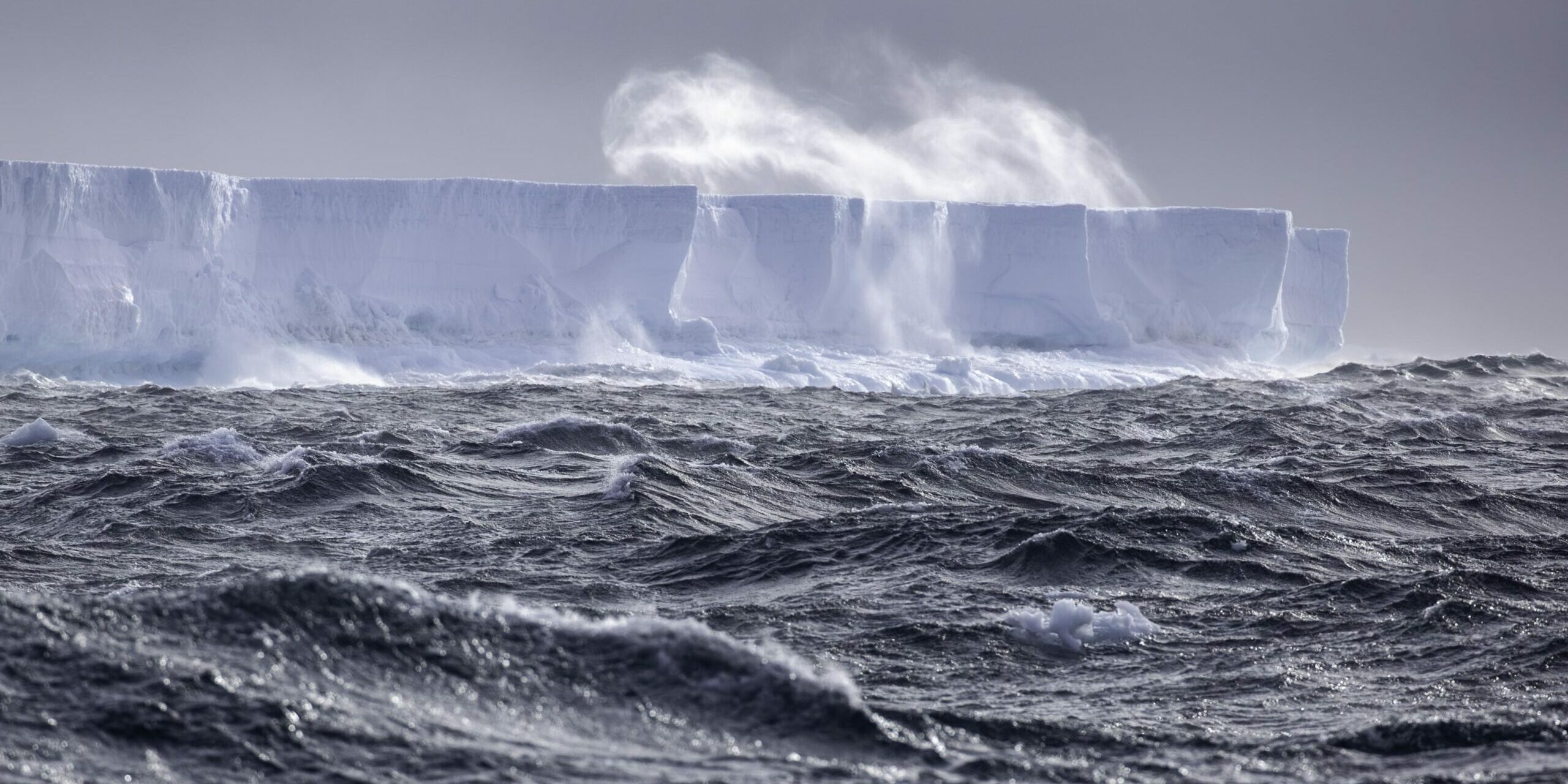 Image: Pete Harmsen / AAD