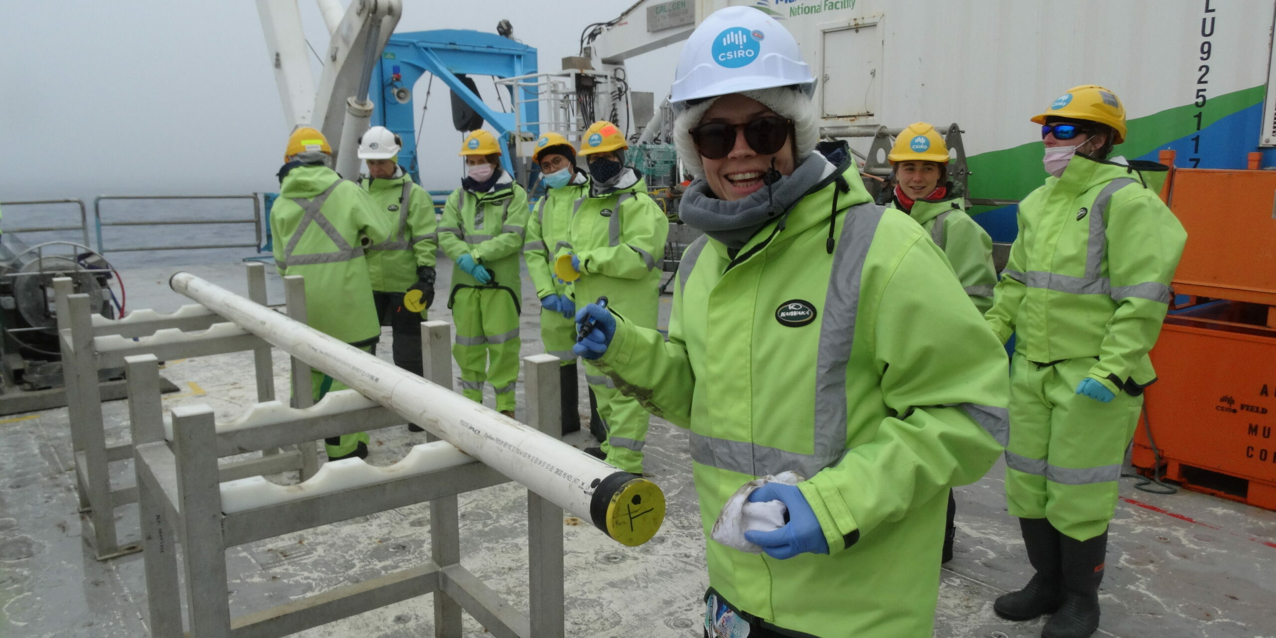 COOKIES BLOG#5 Dr Linda Armbrecht & first section