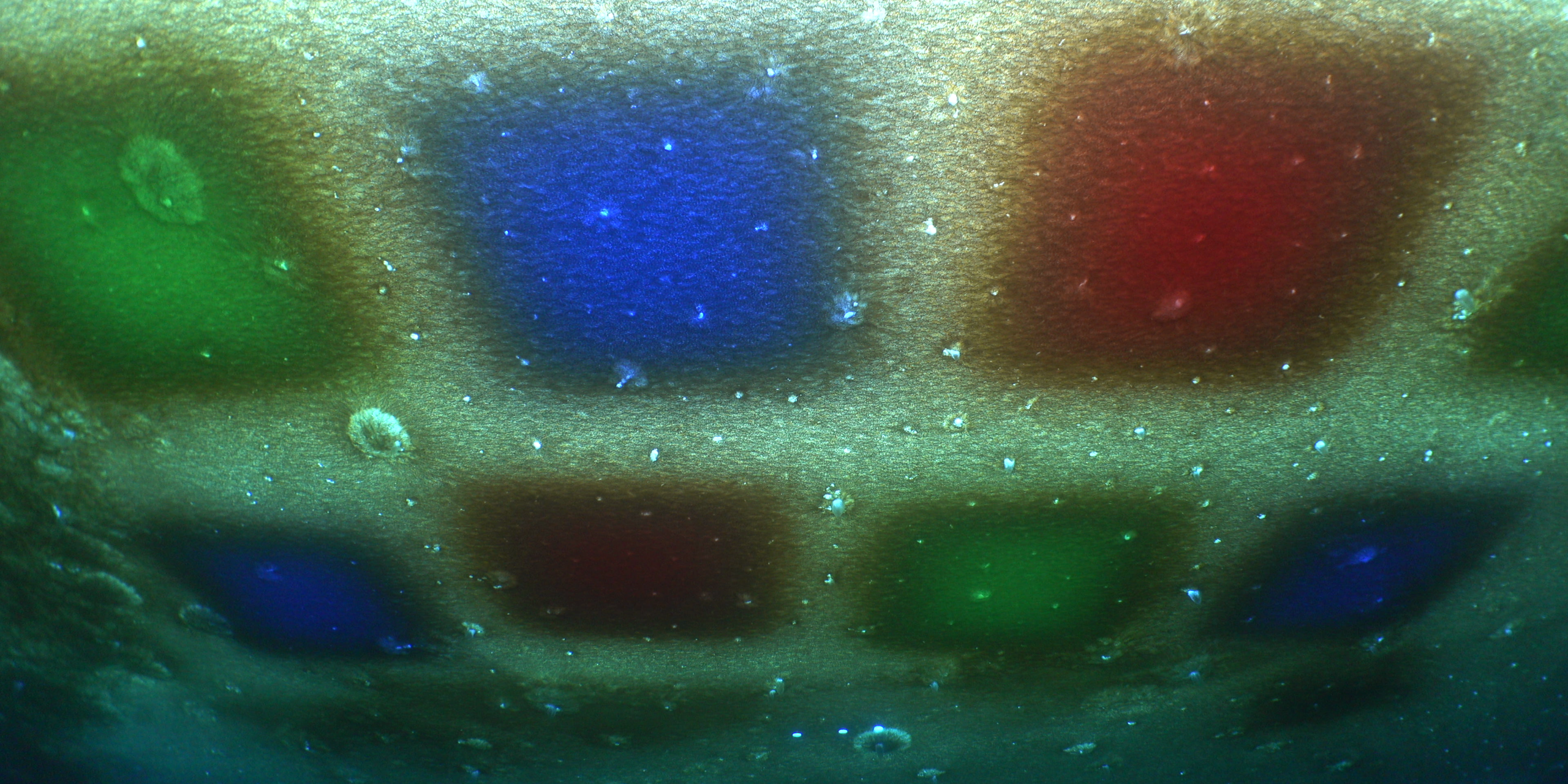 A view of the panels from beneath the ice.